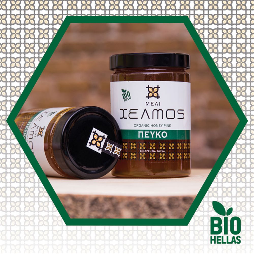Pinienhonig, 300g - BIO