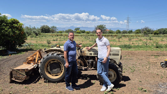 Winzer Michalis Giannikos im Weinberg bei Korinth