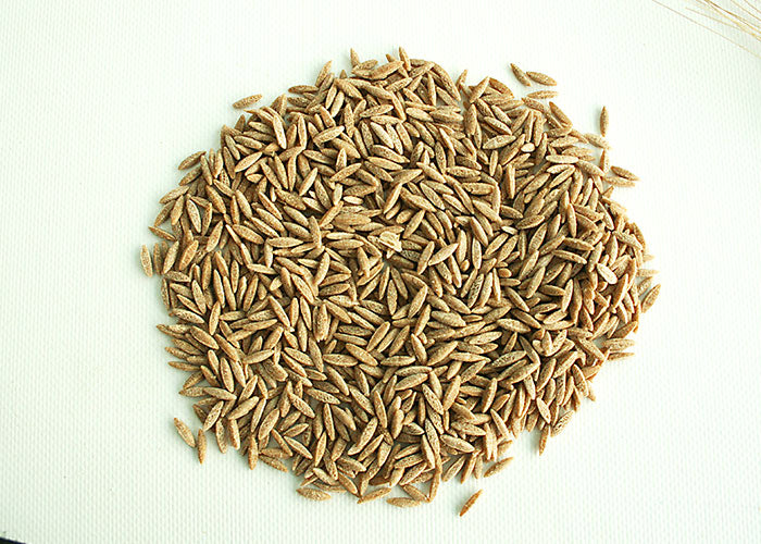 Kritharaki, 500g