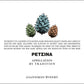 Retsina "Roditis" - BIO